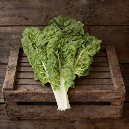 Fordhook Giant, Organic Swiss Chard Seeds - Packet image number null